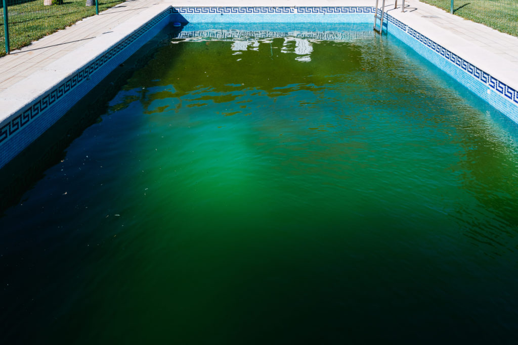 piscine sans bâche sale