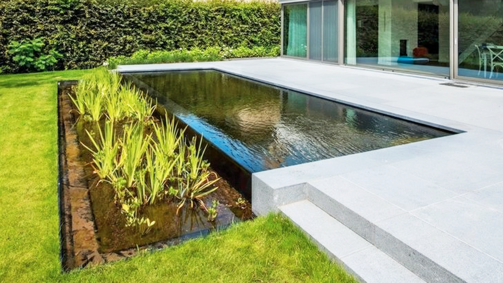 piscine avec fond noir et verdure